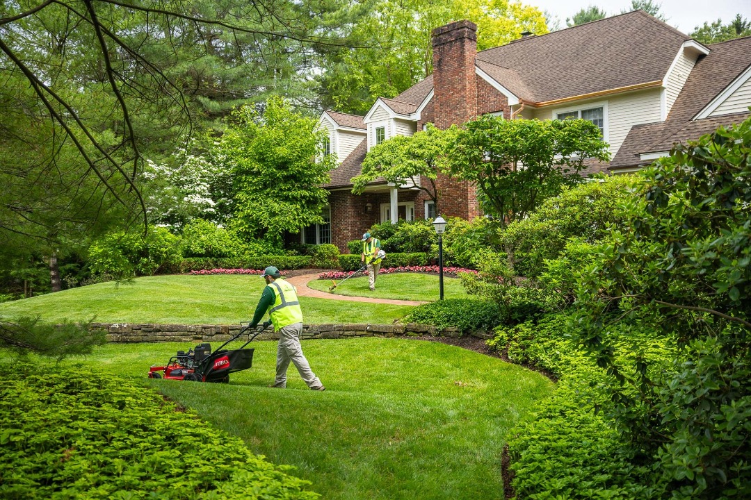 Concrete & Paver Patios